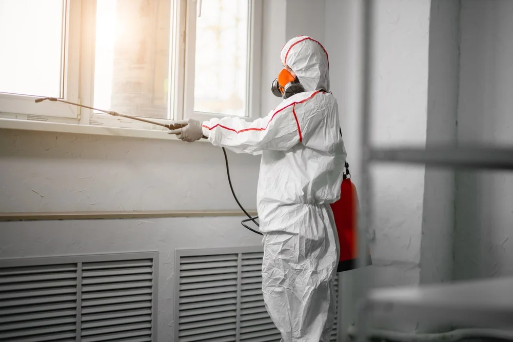 Professional mold remediation services in Neenah, WI